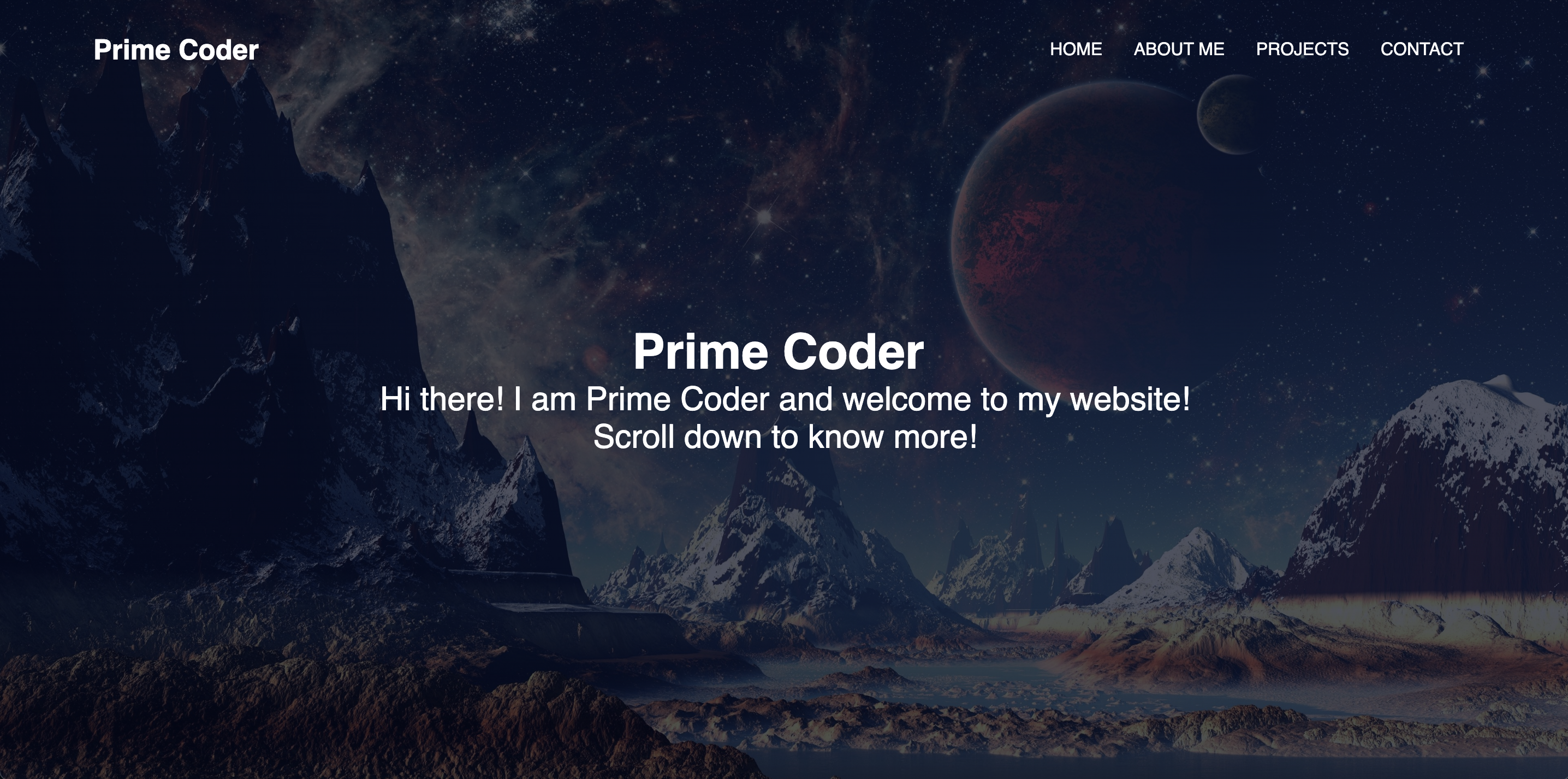 Image of Prime Coder Website